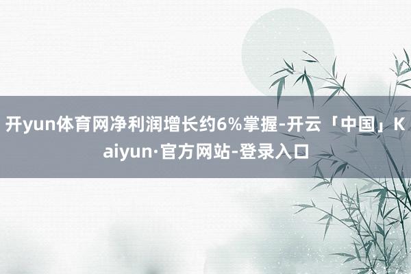 开yun体育网净利润增长约6%掌握-开云「中国」Kaiyun·官方网站-登录入口