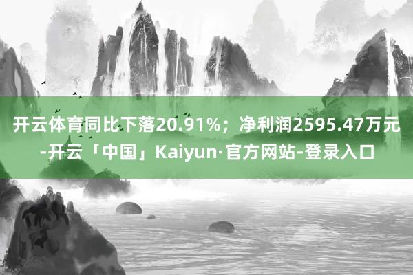 开云体育同比下落20.91%；净利润2595.47万元-开云「中国」Kaiyun·官方网站-登录入口