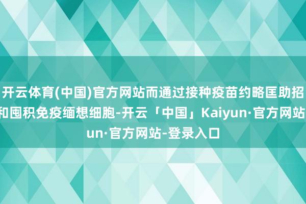 开云体育(中国)官方网站而通过接种疫苗约略匡助招引、补充和囤积免疫缅想细胞-开云「中国」Kaiyun·官方网站-登录入口