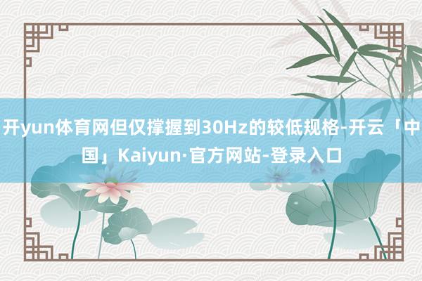 开yun体育网但仅撑握到30Hz的较低规格-开云「中国」Kaiyun·官方网站-登录入口