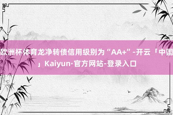 欧洲杯体育龙净转债信用级别为“AA+”-开云「中国」Kaiyun·官方网站-登录入口