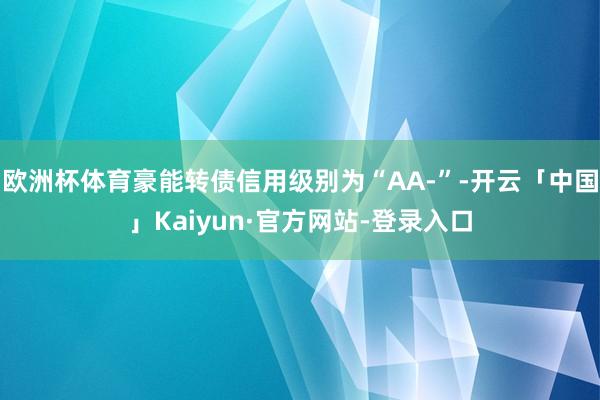 欧洲杯体育豪能转债信用级别为“AA-”-开云「中国」Kaiyun·官方网站-登录入口