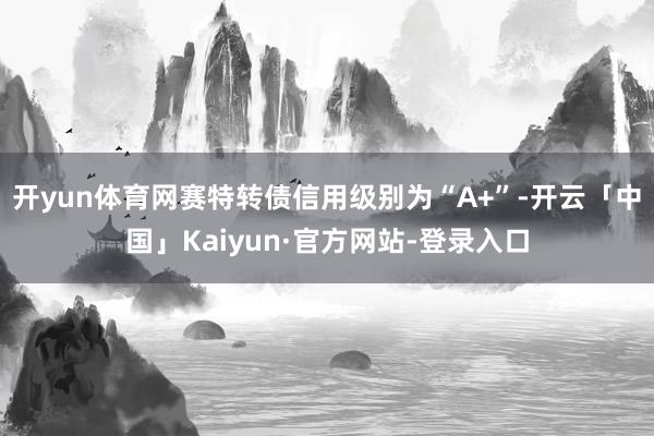 开yun体育网赛特转债信用级别为“A+”-开云「中国」Kaiyun·官方网站-登录入口