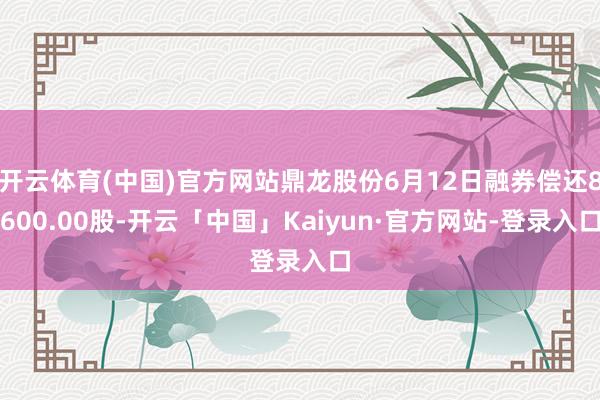 开云体育(中国)官方网站鼎龙股份6月12日融券偿还8600.00股-开云「中国」Kaiyun·官方网站-登录入口