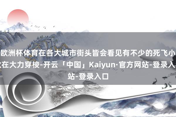 欧洲杯体育在各大城市街头皆会看见有不少的死飞小伙在大力穿梭-开云「中国」Kaiyun·官方网站-登录入口