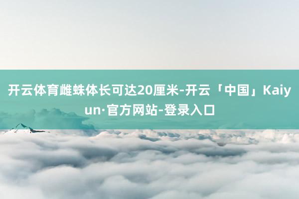 开云体育雌蛛体长可达20厘米-开云「中国」Kaiyun·官方网站-登录入口