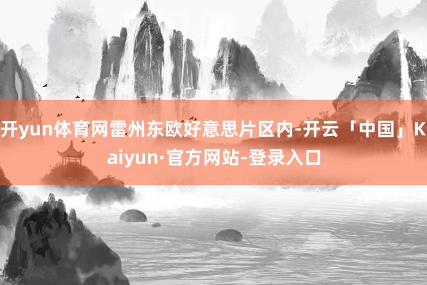 开yun体育网雷州东欧好意思片区内-开云「中国」Kaiyun·官方网站-登录入口