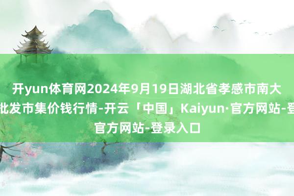 开yun体育网2024年9月19日湖北省孝感市南大农居品批发市集价钱行情-开云「中国」Kaiyun·官方网站-登录入口