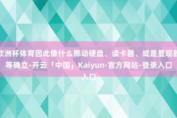 欧洲杯体育因此像什么挪动硬盘、读卡器、或是显现器等确立-开云「中国」Kaiyun·官方网站-登录入口